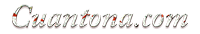 logo de cuantona.com